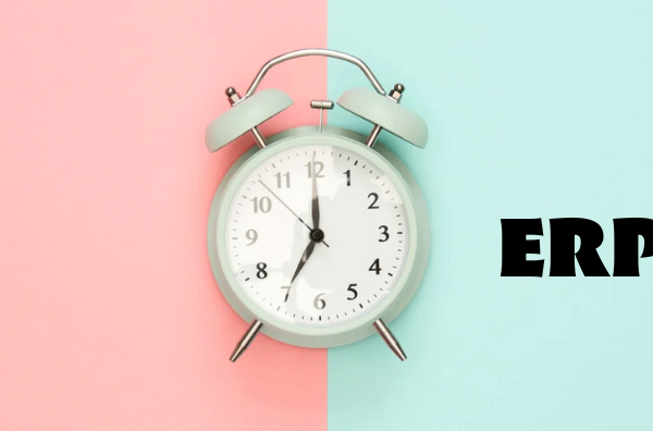 What is ERP?